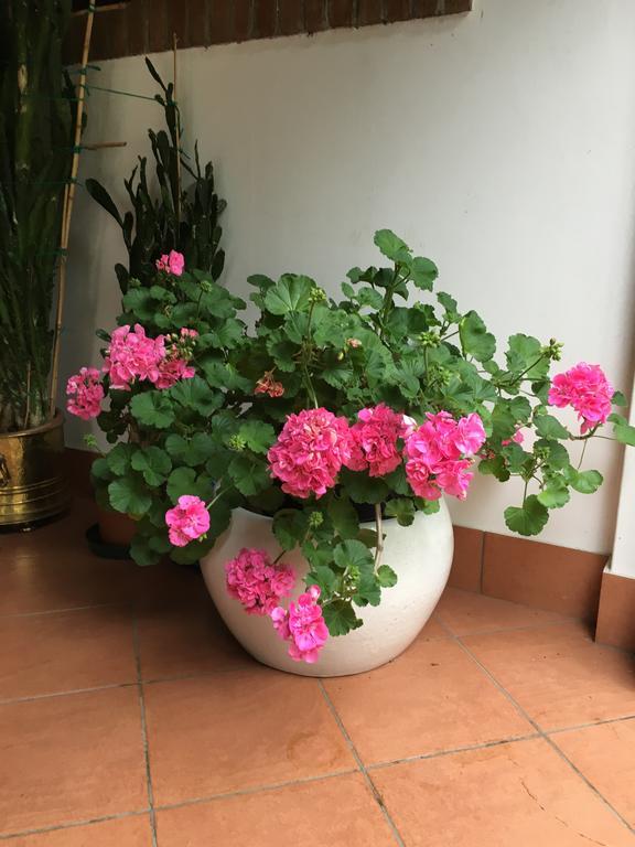 Agriturismo Da Ninoti Treviso Dış mekan fotoğraf